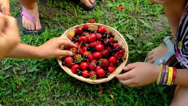 Çocuk Bahçede Farklı Meyveler Yiyor Seçici Odaklanma Çocuk — Stok video