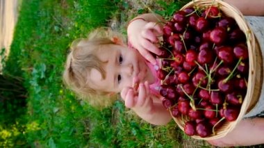 Çocuk bahçede kiraz yiyor. Seçici odaklanma. Çocuk.