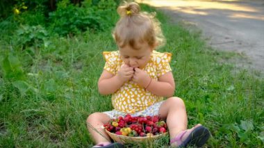 Çocuk bahçede farklı meyveler yiyor. Seçici odaklanma. Çocuk.