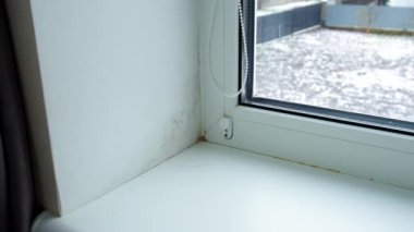 Pencere yamacında mantar var. Seçici odaklanma. ev.