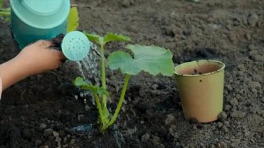 Bir çocuk bahçede bir bitkiyi suluyor. Seçici odaklanma. Doğa.