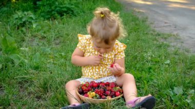 Çocuk bahçede farklı meyveler yiyor. Seçici odaklanma. Çocuk.
