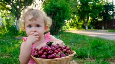 Çocuk bahçede kiraz yiyor. Seçici odaklanma. Çocuk.