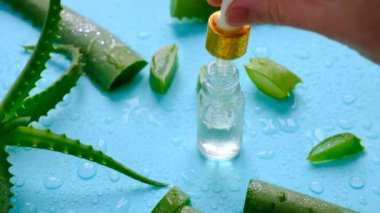 Oil and cosmetics with aloe vera extract. Selective focus. Nature.