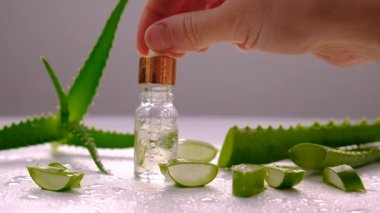 Oil and cosmetics with aloe vera extract. Selective focus. Nature.