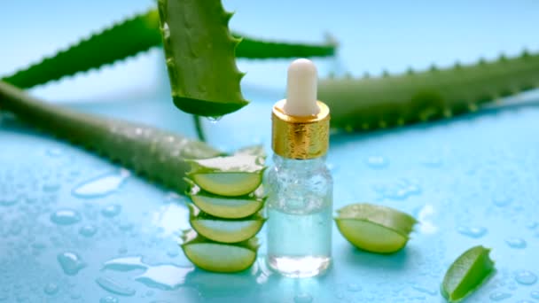 Oil Cosmetics Aloe Vera Extract Selective Focus Nature — Stok video