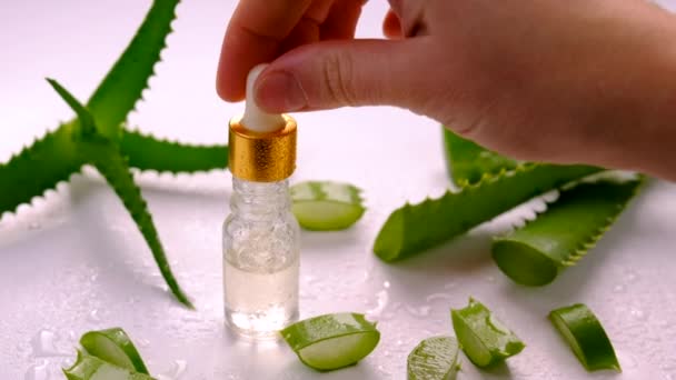 Und Kosmetik Mit Aloe Vera Extrakt Selektiver Fokus Natur — Stockvideo