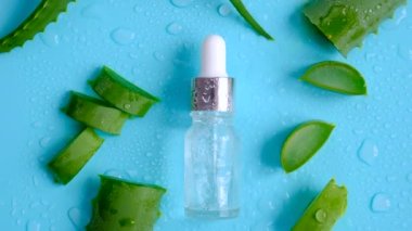 Oil and cosmetics with aloe vera extract. Selective focus. Nature.