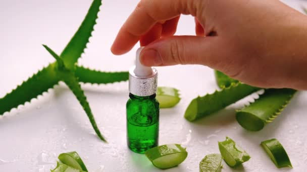 Aceite Cosméticos Con Extracto Aloe Vera Enfoque Selectivo Naturaleza — Vídeo de stock