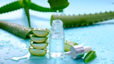 Oil and cosmetics with aloe vera extract. Selective focus. Nature.
