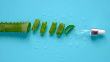 Oil and cosmetics with aloe vera extract. Selective focus. Nature.