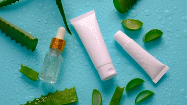 Olja Och Kosmetika Med Aloe Vera Extrakt Selektivt Fokus Natur — Stockvideo