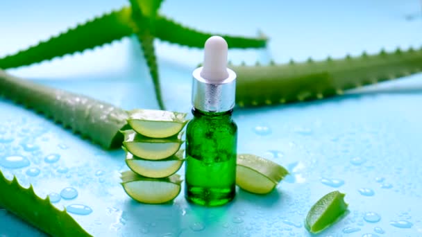 Oil Cosmetics Aloe Vera Extract Selective Focus Nature — Stockvideo