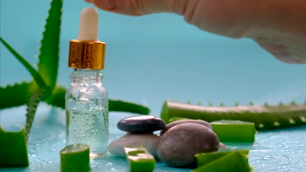 Oil Cosmetics Aloe Vera Extract Selective Focus Nature — Wideo stockowe