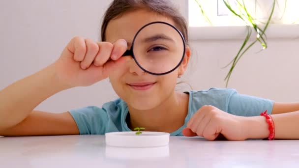 小孩用放大镜检查植物 有选择的重点 — 图库视频影像
