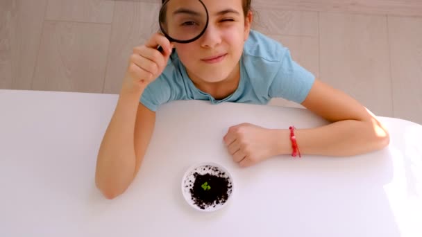 Bir Çocuk Büyüteçle Bir Bitkiyi Inceler Seçici Odaklanma Çocuk — Stok video