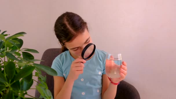 Criança Examina Água Com Uma Lupa Foco Seletivo Miúdo — Vídeo de Stock