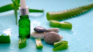 Oil and cosmetics with aloe vera extract. Selective focus. Nature.