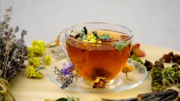 Чай Травами Цветами Лекарственных Средств Выборочный Фокус Пейте — стоковое видео