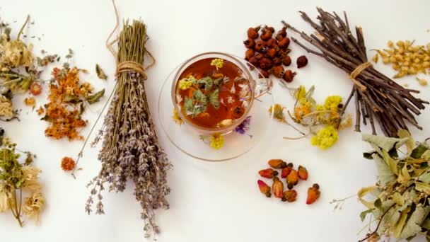 有草药和药水的茶 有选择的重点 — 图库视频影像