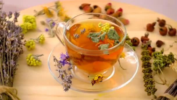 Čaj Bylinkami Barvami Léčivých Přípravků Selektivní Soustředění Pij — Stock video