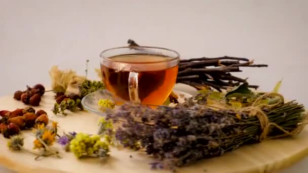 Tee Mit Kräutern Und Farben Der Medizin Selektiver Fokus Trinken — Stockvideo
