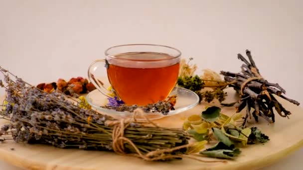 Chá Com Ervas Cores Medicinal Foco Seletivo Beba — Vídeo de Stock