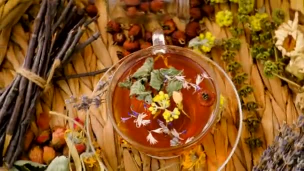 Tee Mit Kräutern Und Farben Der Medizin Selektiver Fokus Trinken — Stockvideo