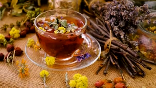 Tea Herbs Colors Medicinal Selective Focus Drink — Stock Video
