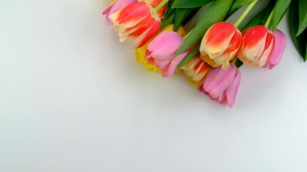 Blumen Tulpen Geschenk Für Den Urlaub Selektiver Fokus Natur — Stockvideo