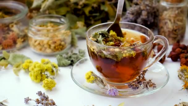 有草药和药水的茶 有选择的重点 — 图库视频影像