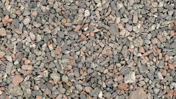 Escombros Textura Piedras Primer Plano Enfoque Selectivo Naturaleza — Vídeos de Stock