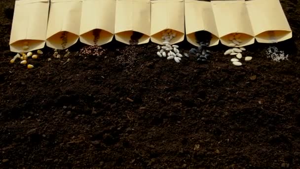 Почва Семена Много Различных Весенних Растений Саду Выборочный Фокус Природа — стоковое видео