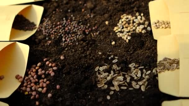 Soil Seeds Many Different Spring Sowing Plants Garden Selective Focus — Stock Video