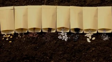 Toprak ve tohumlar bahçede birçok farklı bahar ekimi bitkileridir. Seçici odaklanma. Doğa.