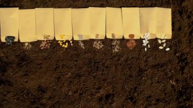 Toprak ve tohumlar bahçede birçok farklı bahar ekimi bitkileridir. Seçici odaklanma. Doğa.