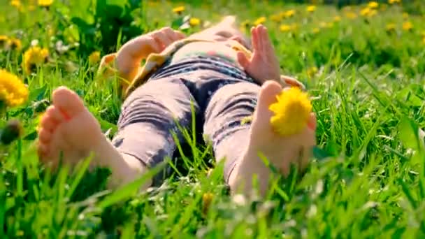 Bahçe Ayağında Sarı Karahindibalar Açan Bir Çocuk Seçici Odaklanma Doğa — Stok video