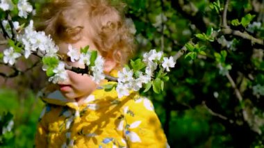 Bahçedeki bir çocuk çiçek açan bir bahar ağacını kokluyor. Seçici odaklanma. Doğa.
