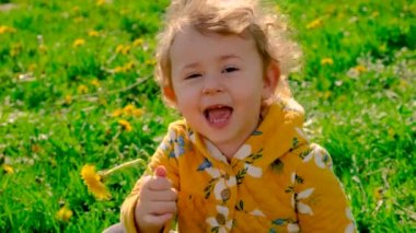 Bahçedeki bir çocuk çiçek açan sarı karahindibanın kokusunu alıyor. Seçici odaklanma. Doğa.