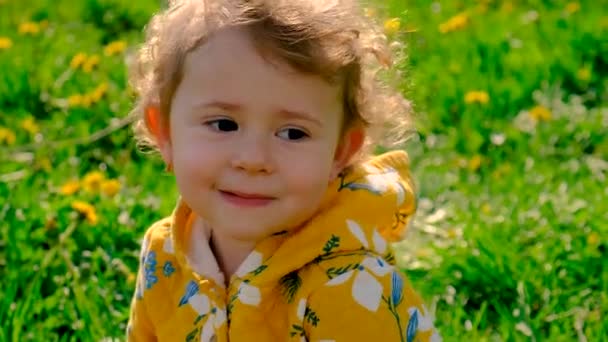 Дитина Саду Пахне Квітучими Жовтими Кульбабами Вибірковий Фокус Природа — стокове відео