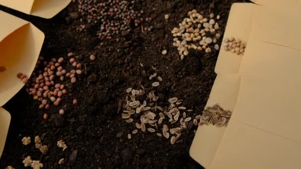 土壤和种子是春天在花园里播种的许多不同的植物 有选择的重点 — 图库视频影像