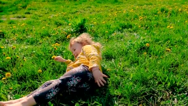 Dziecko Stopach Ogrodowych Kwitnące Żółte Dmuchawce Wybiórcze Skupienie Przyroda — Wideo stockowe