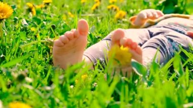 Bahçe ayağında sarı karahindibalar açan bir çocuk. Seçici odaklanma. Doğa.