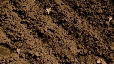 Tarladaki traktör toprağı işliyor. Seçici odaklanma. Doğa.