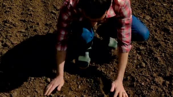 Αρσενικός Αγρότης Στο Χωράφι Ελέγχει Έδαφος Επιλεκτική Εστίαση Φύση — Αρχείο Βίντεο
