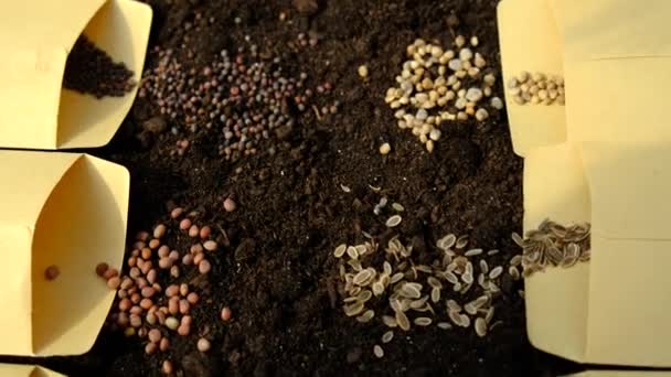土と種は庭の多くの異なる春の播種植物です 選択的フォーカス — ストック動画