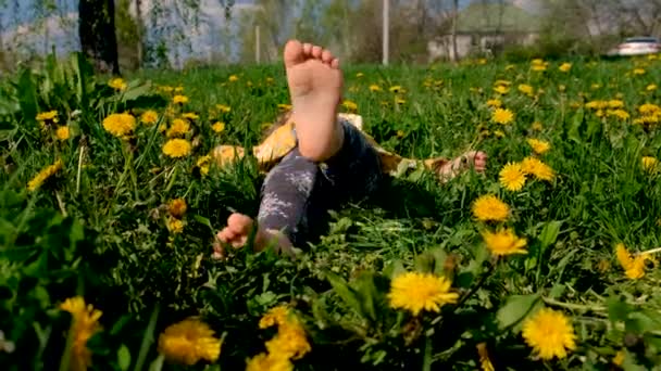 花园里的孩子在绽放着黄色的蒲公英 有选择的重点 — 图库视频影像