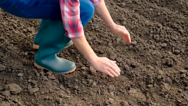 田里的男农场主检查土壤 有选择的重点 — 图库视频影像