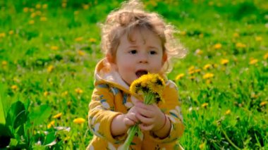 Bahçedeki bir çocuk çiçek açan sarı karahindibanın kokusunu alıyor. Seçici odaklanma. Doğa.