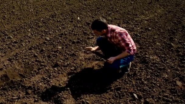 Homem Agricultor Campo Verifica Solo Foco Seletivo Natureza — Vídeo de Stock